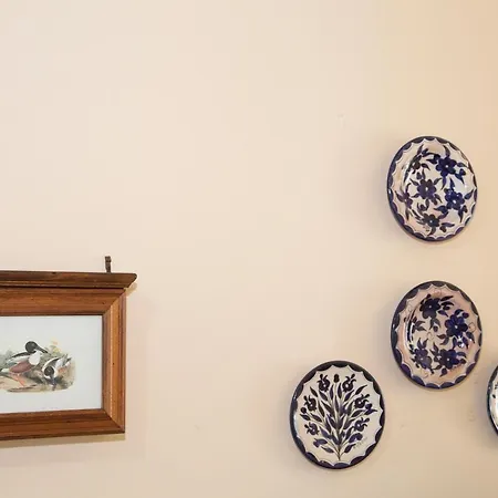 Tatil Evi Ionian Aura